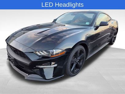 Used 2023 Ford Mustang Coupe w/ Equipment Group 101A