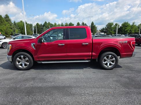 Used 2022 Ford F150 XLT w/ Equipment Group 302A High AWD/4WD image 2