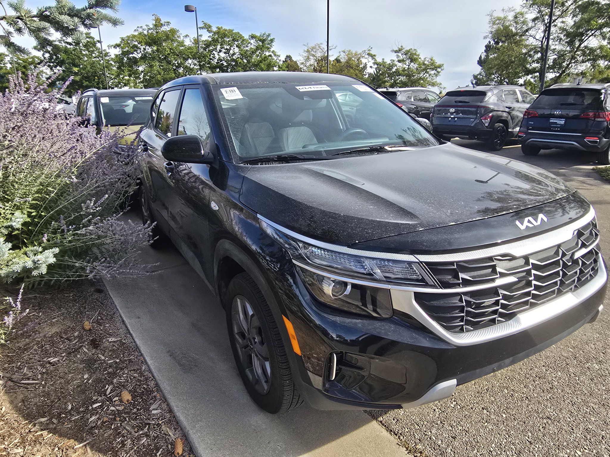 Used 2024 Kia Seltos LX AWD/4WD image 17
