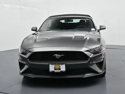 Used 2019 Ford Mustang Premium