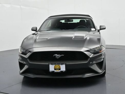 Used 2019 Ford Mustang Premium RWD image 3
