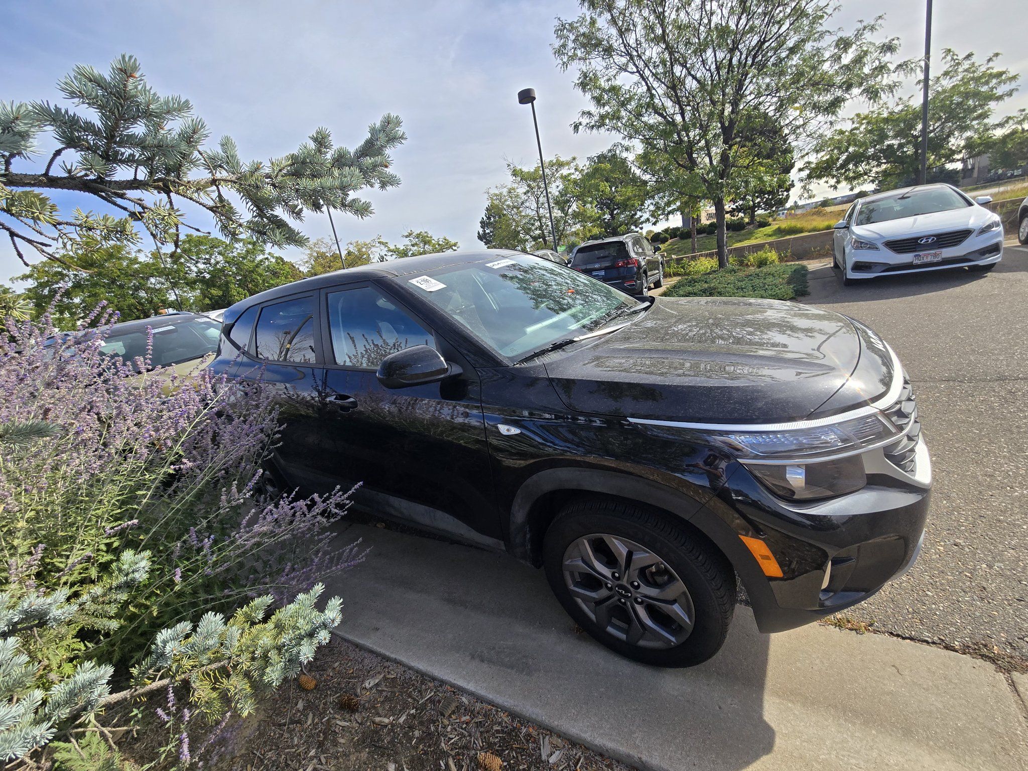 Used 2024 Kia Seltos LX AWD/4WD image 16