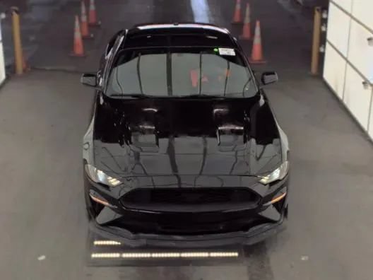 Used 2019 Ford Mustang Coupe RWD image 2