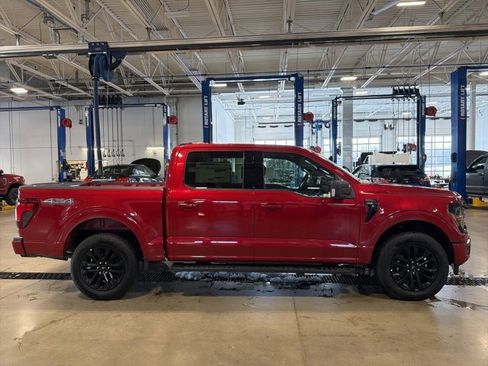 New 2025 Ford F150 XLT w/ Equipment Group 302A MID image 7