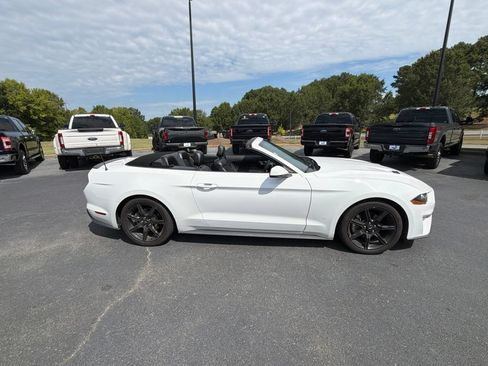 Used 2019 Ford Mustang Premium w/ Equipment Group 201A RWD image 12