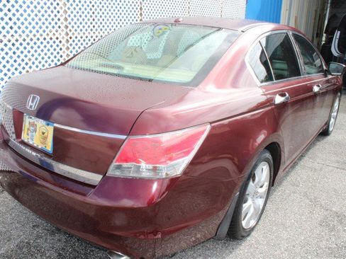 Used 2010 Honda Accord EX-L image 8