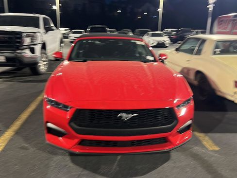 Used 2025 Ford Mustang Premium image 4