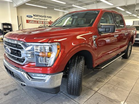 Used 2023 Ford F150 XLT w/ Equipment Group 302A High image 19