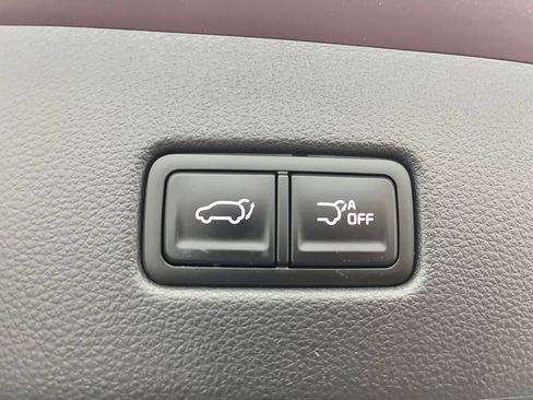 Used 2024 Kia Carnival SX Prestige FWD image 12