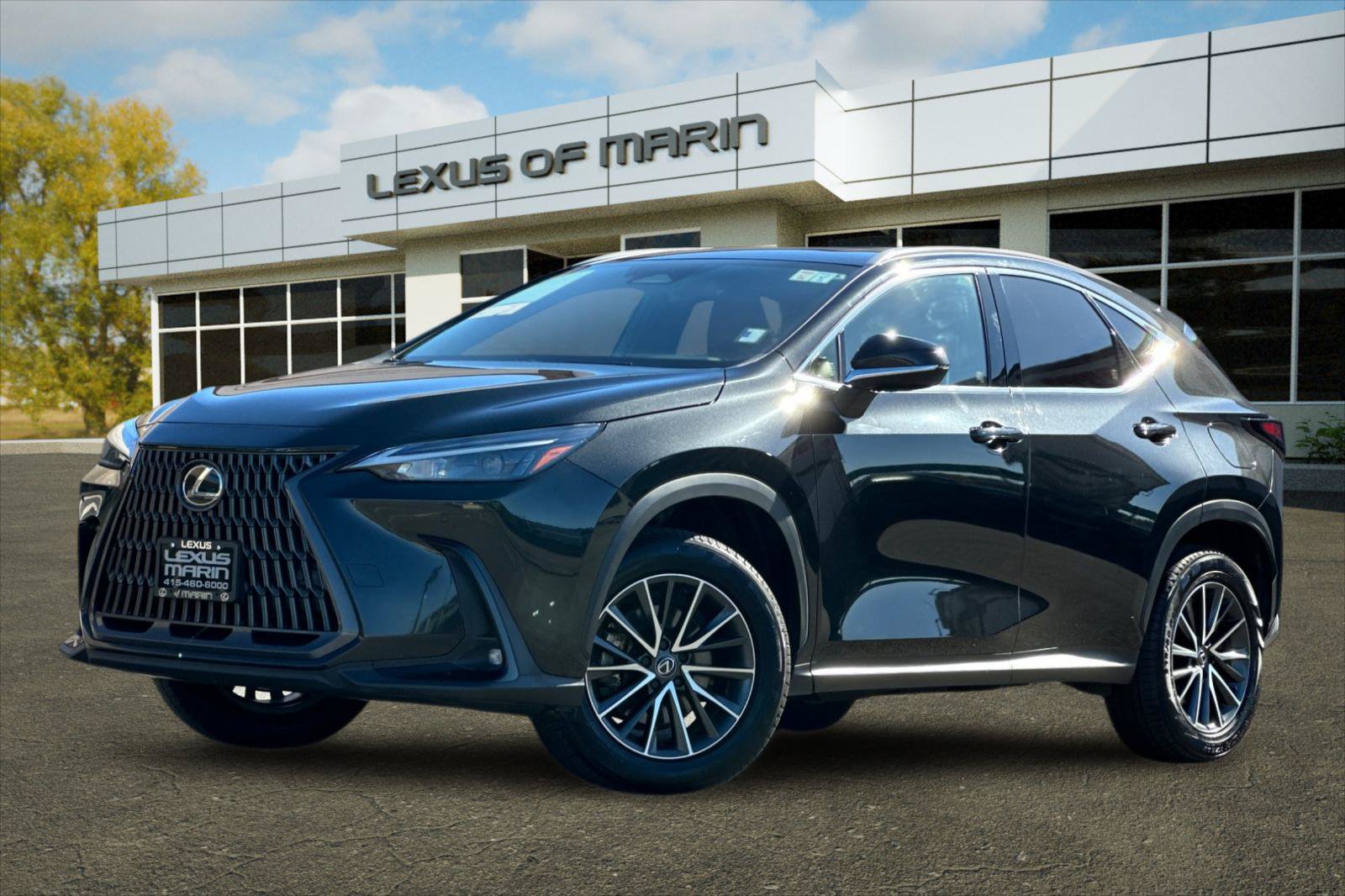 Used 2024 Lexus NX 350h AWD image 1
