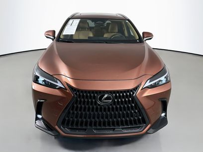 Certified 2025 Lexus NX 350 AWD w/ Cold Area Package