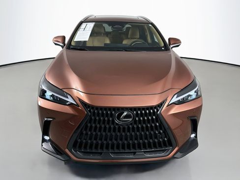 Certified 2025 Lexus NX 350 AWD w/ Cold Area Package image 3