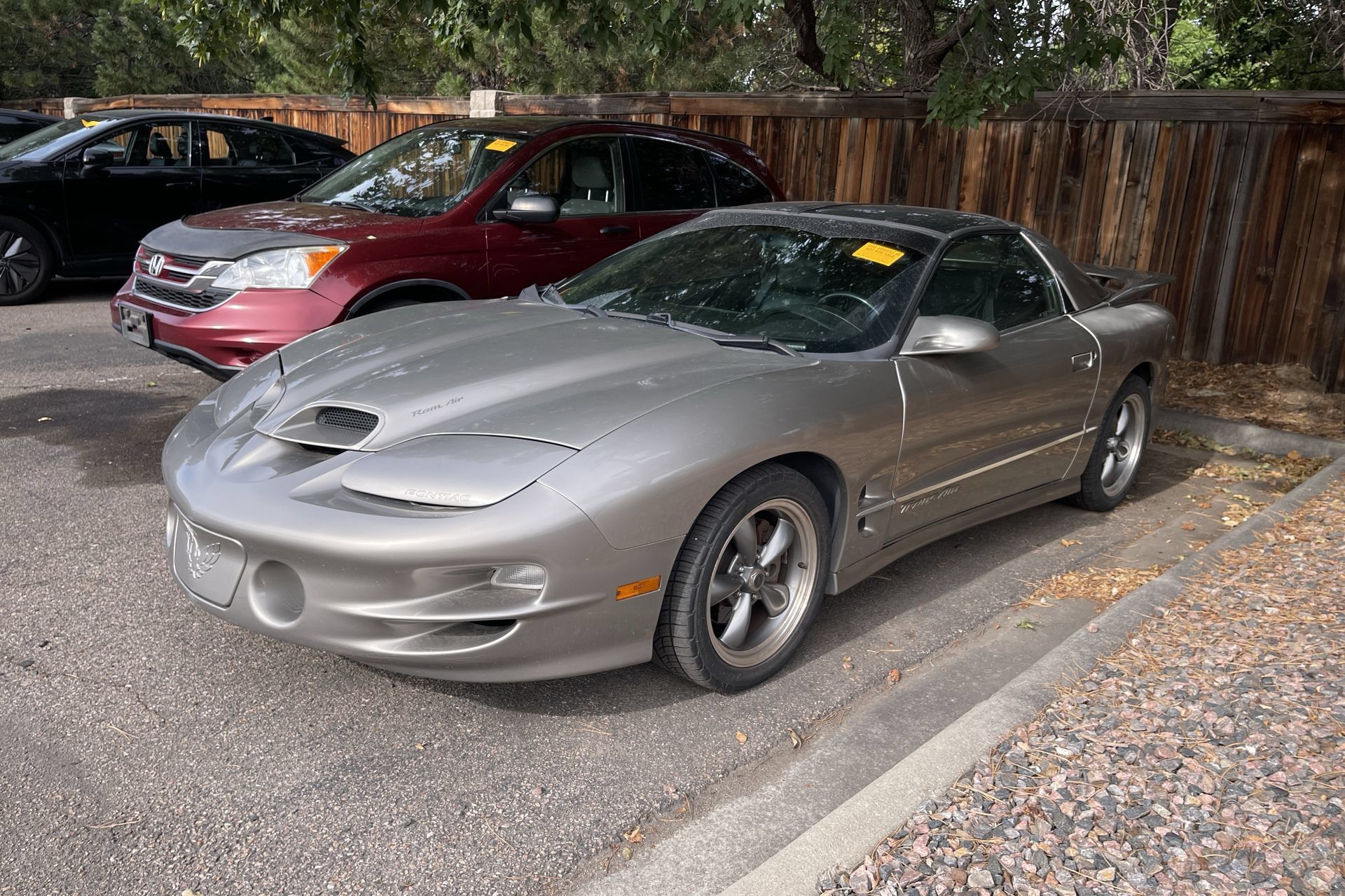 Used 2002 Pontiac Firebird Trans Am RWD image 2