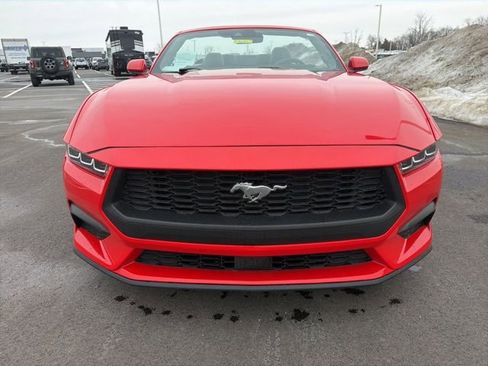 Used 2024 Ford Mustang Premium image 15