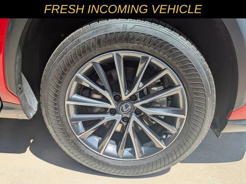 Used 2025 Lexus NX 250 250 Base w/ Cold Area Package image 9