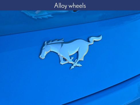 Used 2025 Ford Mustang Coupe image 12