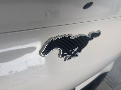 Used 2024 Ford Mustang Mach-E Premium image 8