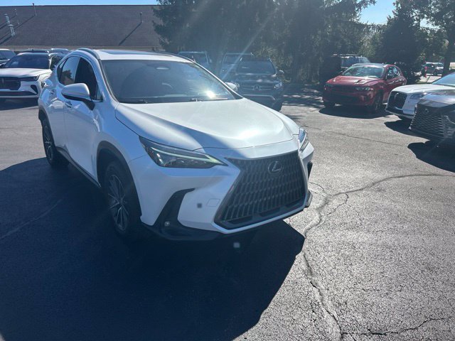 Used 2024 Lexus NX 350 AWD w/ Cold Area Package image 3