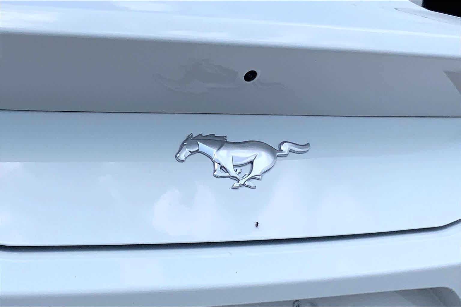 New 2026 Ford Mustang Coupe RWD image 14
