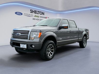 Used 2011 Ford F150 Platinum