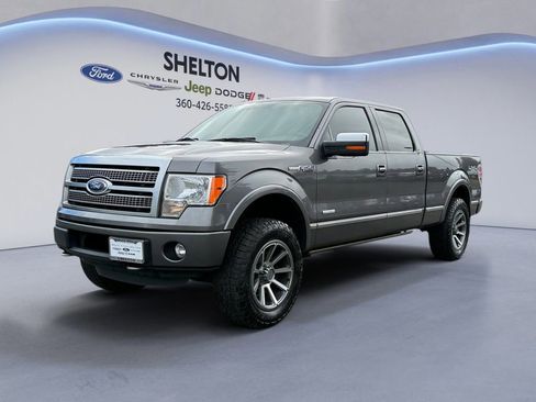 Used 2011 Ford F150 Platinum image 1