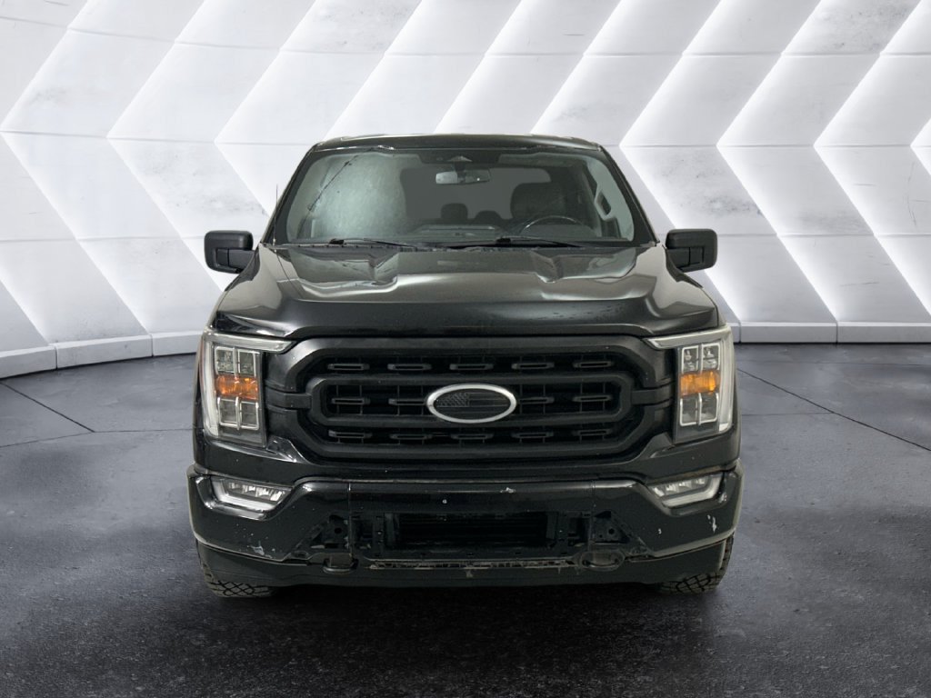Used 2021 Ford F150 XLT w/ Equipment Group 302A High AWD/4WD image 2