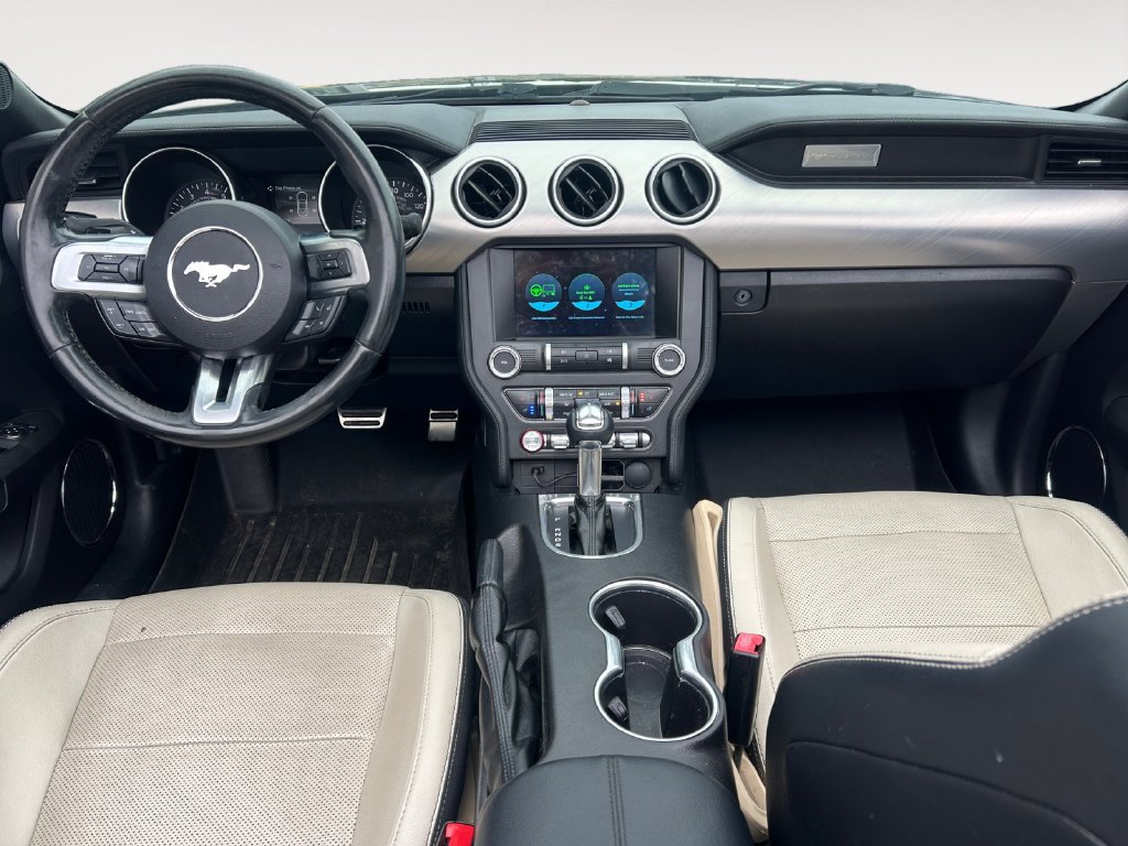 Used 2019 Ford Mustang Premium RWD image 10