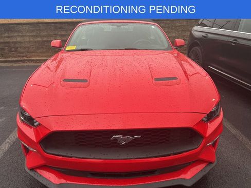 Used 2018 Ford Mustang Premium w/ Equipment Group 201A image 1