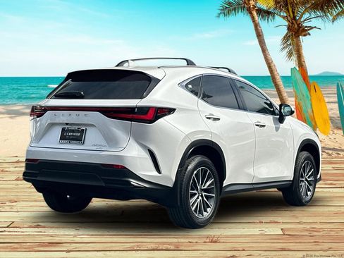 Used 2025 Lexus NX 350h AWD w/ Premium Package image 6