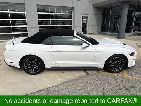 Used 2020 Ford Mustang Premium RWD image 4