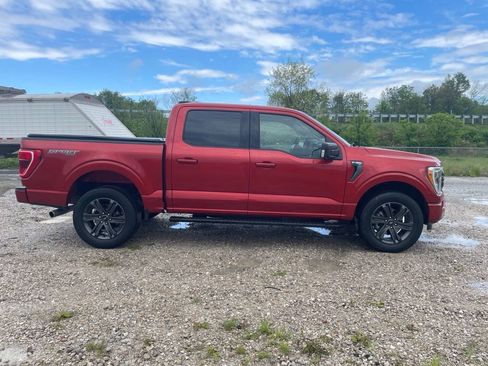 Used 2023 Ford F150 XLT w/ Equipment Group 302A High AWD/4WD image 4