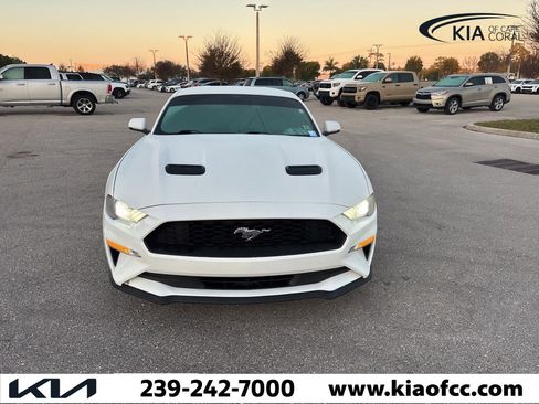 Used 2019 Ford Mustang Premium image 9