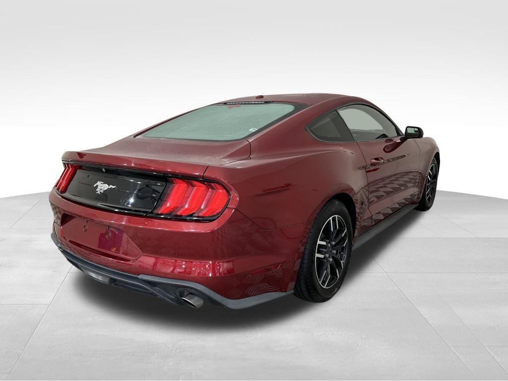 Used 2019 Ford Mustang Coupe RWD image 5