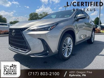 Certified 2025 Lexus NX 350 AWD w/ Cold Area Package