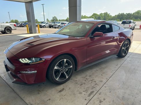Used 2019 Ford Mustang Coupe w/ Ford Safe & Smart Package RWD image 1