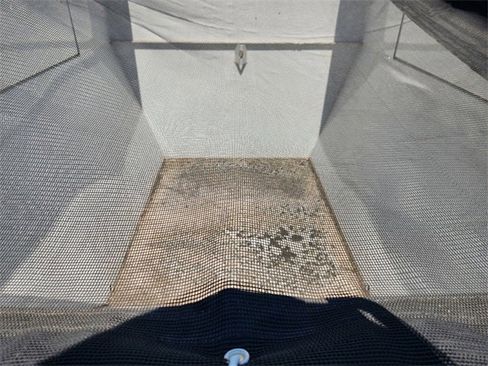 Used 2023 Ford F250 XL image 23