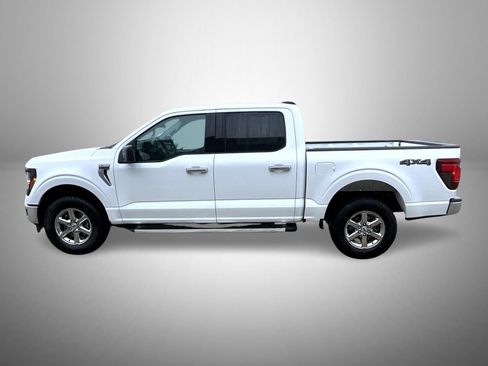 Used 2025 Ford F150 XLT w/ Equipment Group 301A Standard AWD/4WD image 8