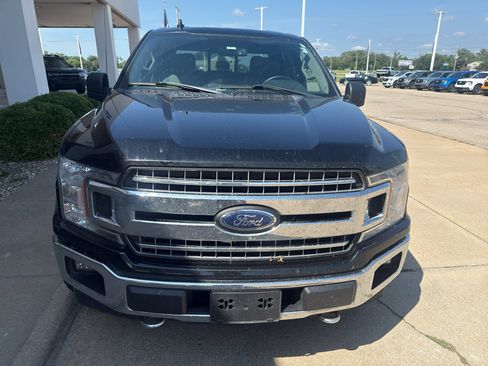 Used 2018 Ford F150 XLT w/ Equipment Group 302A Luxury AWD/4WD image 3