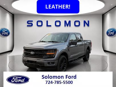 Certified 2024 Ford F150 XLT w/ Equipment Group 303A High