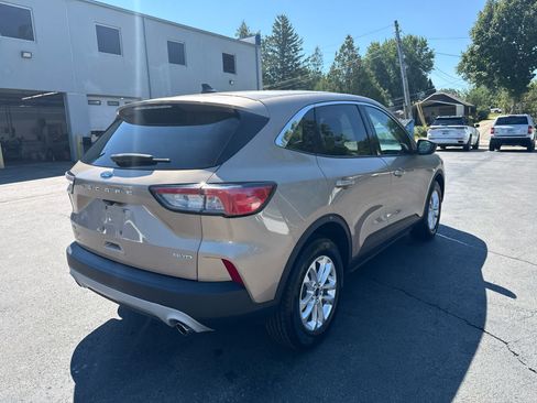 Used 2020 Ford Escape SE AWD/4WD image 3