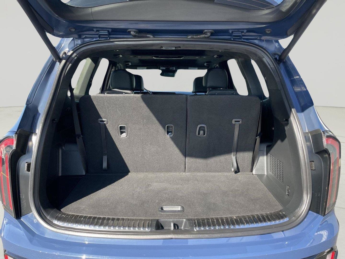 Used 2024 Kia Telluride SX Prestige X-Line AWD/4WD image 9