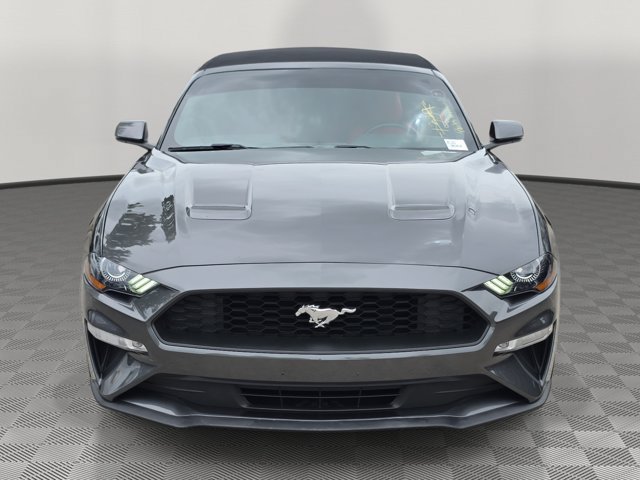 Certified 2019 Ford Mustang Premium w/ Equipment Group 201A RWD image 2