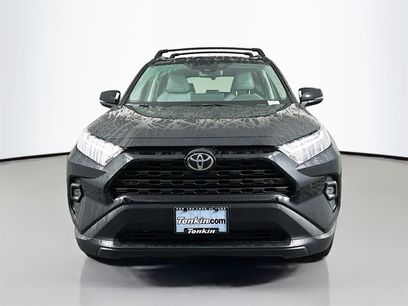New 2025 Toyota RAV4 XLE Premium