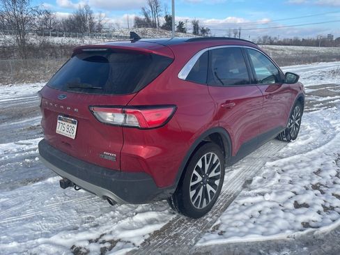 Used 2020 Ford Escape SEL image 5