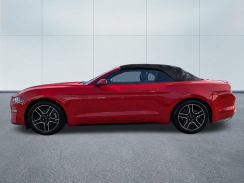 Used 2018 Ford Mustang Premium RWD image 3