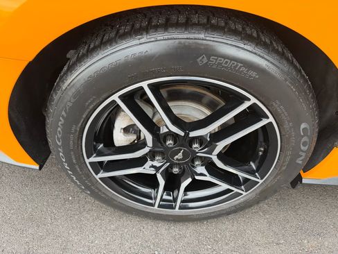 Used 2019 Ford Mustang Coupe w/ Equipment Group 101A image 14