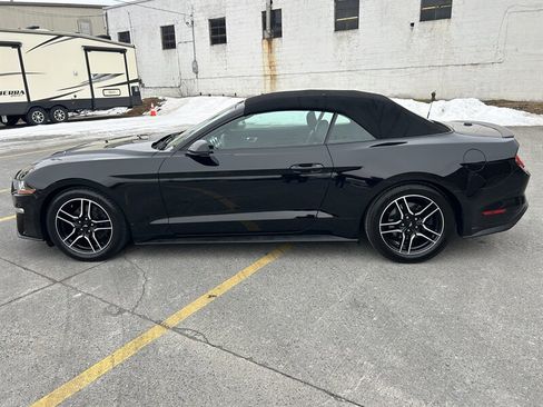 Used 2018 Ford Mustang Premium RWD image 6