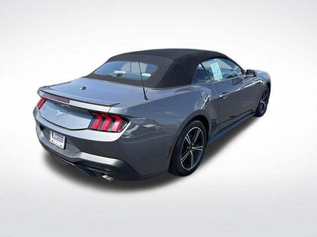 Used 2024 Ford Mustang Premium RWD image 7
