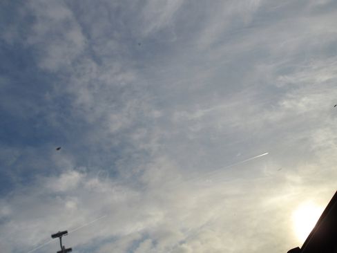 Certified 2022 Hyundai Palisade Calligraphy image 25