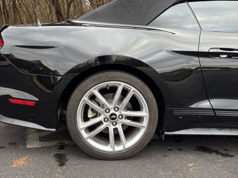 Used 2017 Ford Mustang Premium w/ Equipment Group 201A image 15